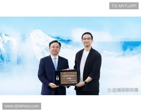 代怀博的成长之路与未来发展展望：从初创到行业领军者的蜕变历程